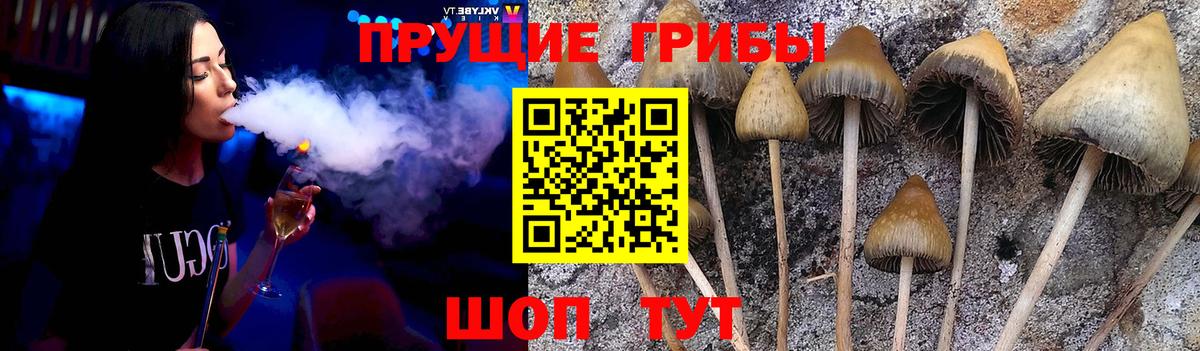 Псилоцибиновые грибы мухоморы  Псилоцибиновые грибы прущие грибы  Вход с VPN  Назрань 