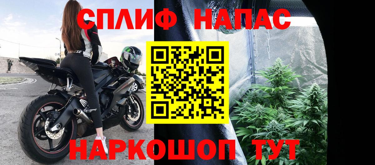 Шишки марихуана семена Назрань
